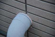 2020 0516 Ksama mae28.JPG