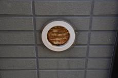 2020 0516 Ysama mae15.JPG