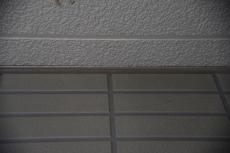 2020 0516 Ysama mae28.JPG