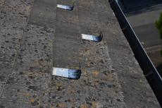 2020 0516 Ysama mae48.JPG