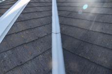 2020 0516 Ysama mae50.JPG