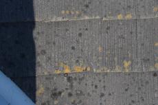 2020 0516 Ysama mae52.JPG