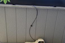 2020 0516 Ysama mae64.JPG