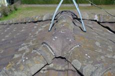 2020 0527 Isama mae007.JPG