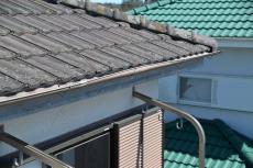 2020 0527 Isama mae010.JPG