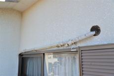 2020 0527 Isama mae015.JPG