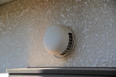 2020 0527 Isama mae025.JPG