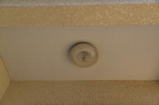 2020 0527 Isama mae053.JPG