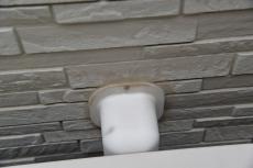 2020 0604 Ssama mae024.JPG