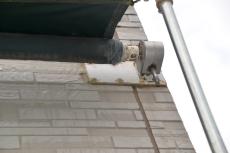 2020 0604 Ssama mae026.JPG