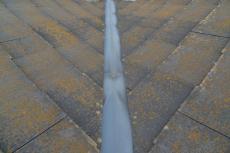 2020 0604 Ssama mae056.JPG