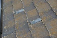 2020 0604 Ssama mae057.JPG