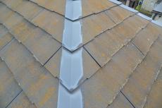 2020 0604 Ssama mae059.JPG