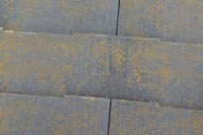 2020 0604 Ssama mae061.JPG