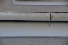 2020 0604 ysama mae 008.JPG