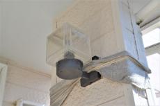 2020 0604 ysama mae 013.JPG