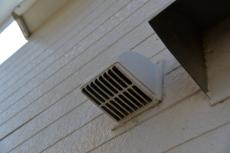 2020 0604 ysama mae 016.JPG