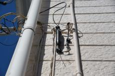 2020 0604 ysama mae 017.JPG