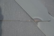 2020 0609 Hsama mae 012.JPG