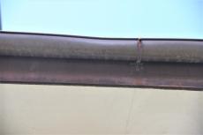 2020 0612 Ssama mae019.jpg