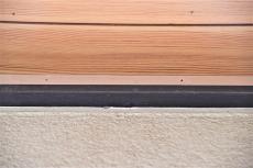 2020 0612 Ssama mae023.jpg