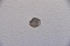 2020 0612 Ssama mae034.jpg