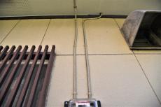 2020 0612 Ssama mae035.jpg