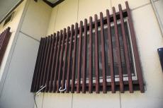 2020 0612 Ssama mae036.jpg