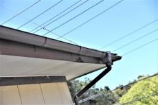 2020 0612 Ssama mae045.jpg