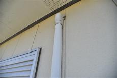 2020 0612 Ssama mae049.jpg