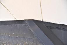 2020 0612 Ssama mae054.jpg