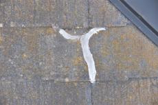 2020 0612 Ssama mae055.jpg