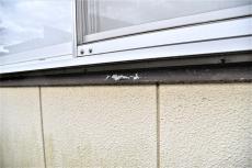 2020 0612 Ssama mae071.jpg