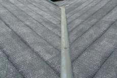 2020 0615 ISsama go008.JPG