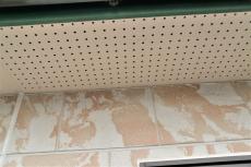 2020 0615 ISsama go021.JPG