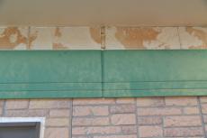 2020 0615 ISsama go038.JPG