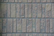 2020 0615 ISsama go064.JPG