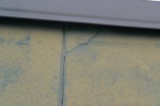 2020 0615 ISsama go074.JPG