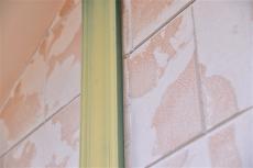 2020 0615 ISsama go076.JPG