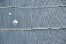 2020 0615 Osama mae008.JPG