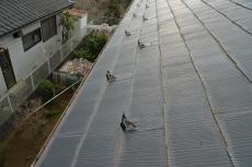 2020 0615 Osama mae014.JPG