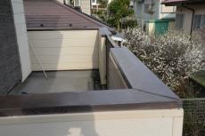 2020 0615 Osama mae026.JPG