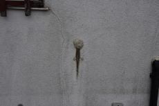 2020 0615 Tsama mae006.JPG