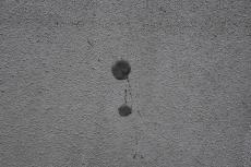 2020 0615 Tsama mae007.JPG