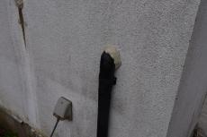 2020 0615 Tsama mae010.JPG