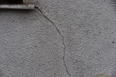 2020 0615 Tsama mae012.JPG