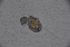 2020 0615 Tsama mae015.JPG