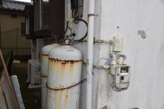 2020 0615 Tsama mae018.JPG