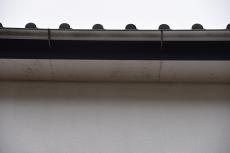 2020 0615 Tsama mae035.JPG