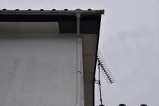 2020 0615 Tsama mae040.JPG